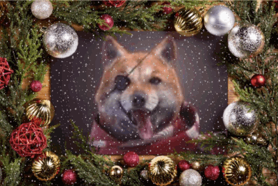 412264a46f7aa1c331.gif