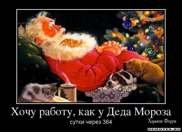 412ccf18856074eda71.webp