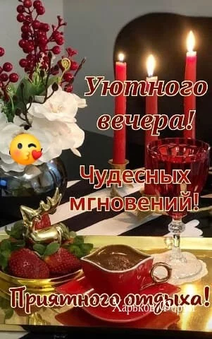 41392e433c2ef7526d9.webp