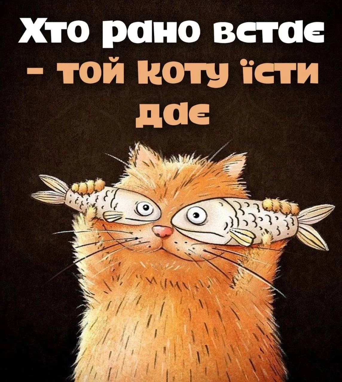 414147260_403331808711038_807102924568170106_n.webp