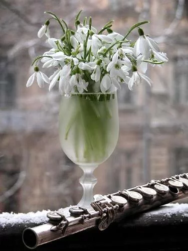 4146.webp