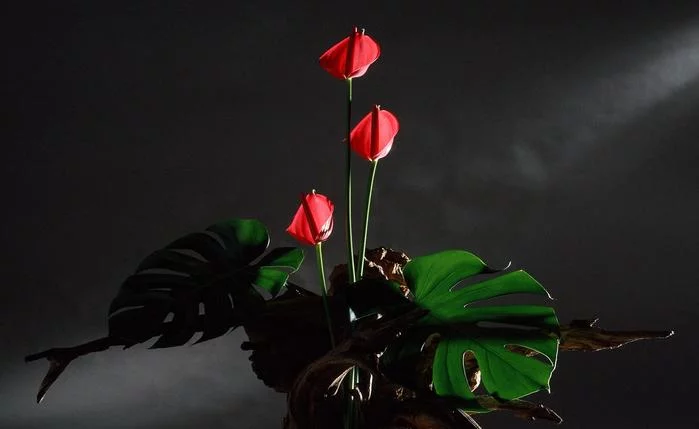 41461300_flowers_6_55a.webp