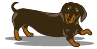 415236286.gif