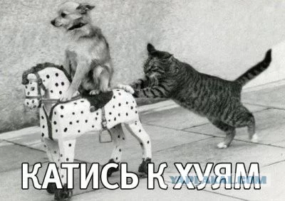 4170839.webp