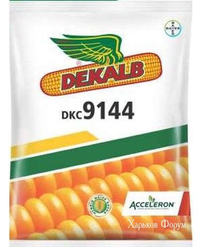 418e1755cb838aedb0c.jpg