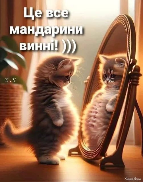 419207838_2115840798808538_8464743157522091420_n.webp