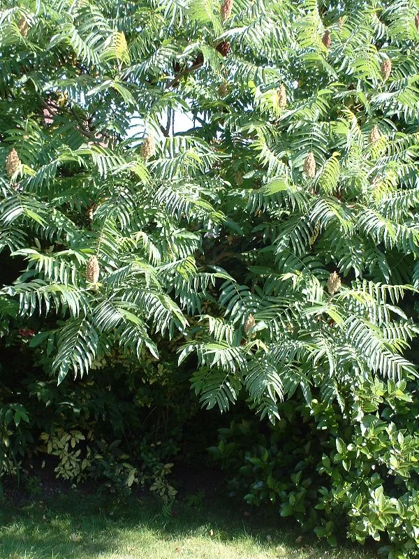 41_103.webp