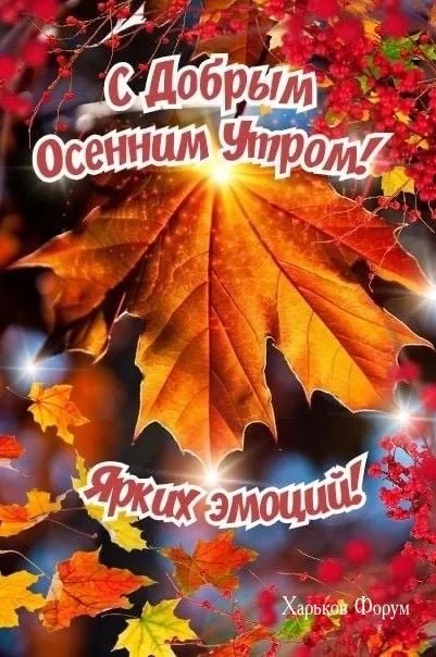 41bb9d8fa373dbd4f535e035.webp