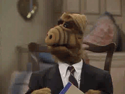 41c976fa512adea421c40d1.gif