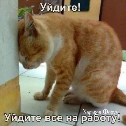 41d9c31c58a031c699.webp