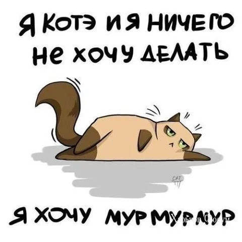 41e6cf7c85435fc04c515.webp