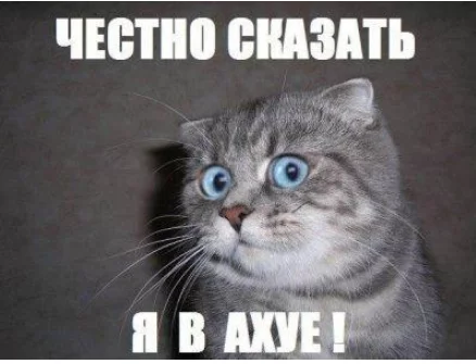 41ea3051f07d62f8de64966a3af4d740.webp