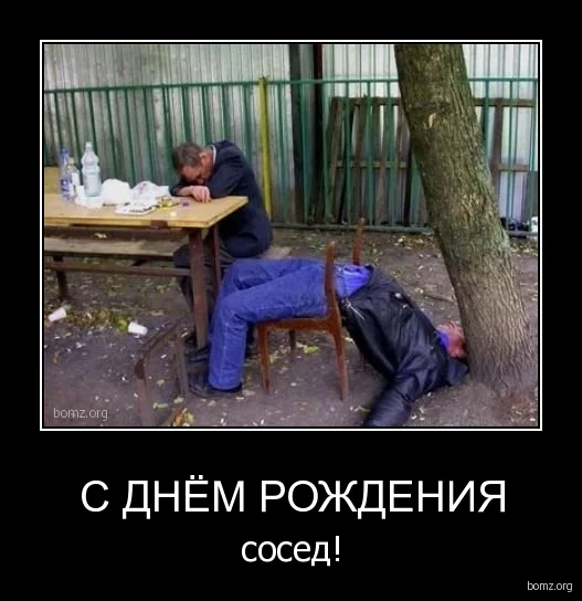 42.28-bomz.org-demotivator_s_dniem_rojdeniya_sosed.webp