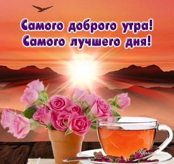 420735c8afe7b0fb.webp