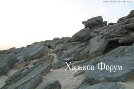 420960f8602b2e198105311.webp