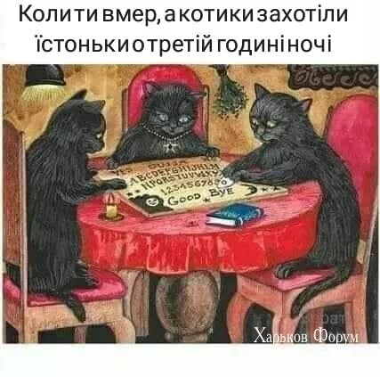 4210e22904dcbf466.webp