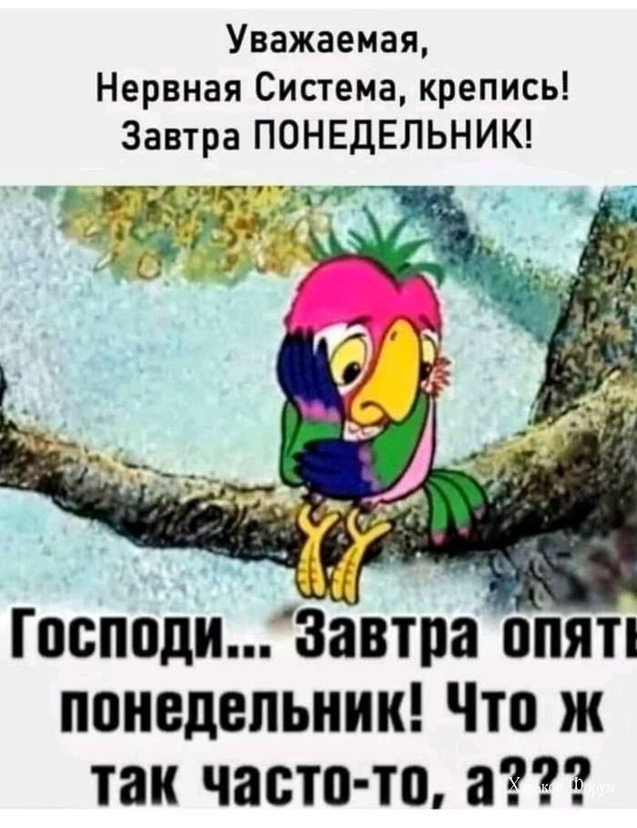 421678ebb92b586f6.webp