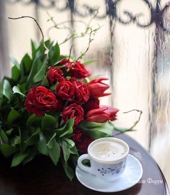 4216d31b28bb6f7977.webp