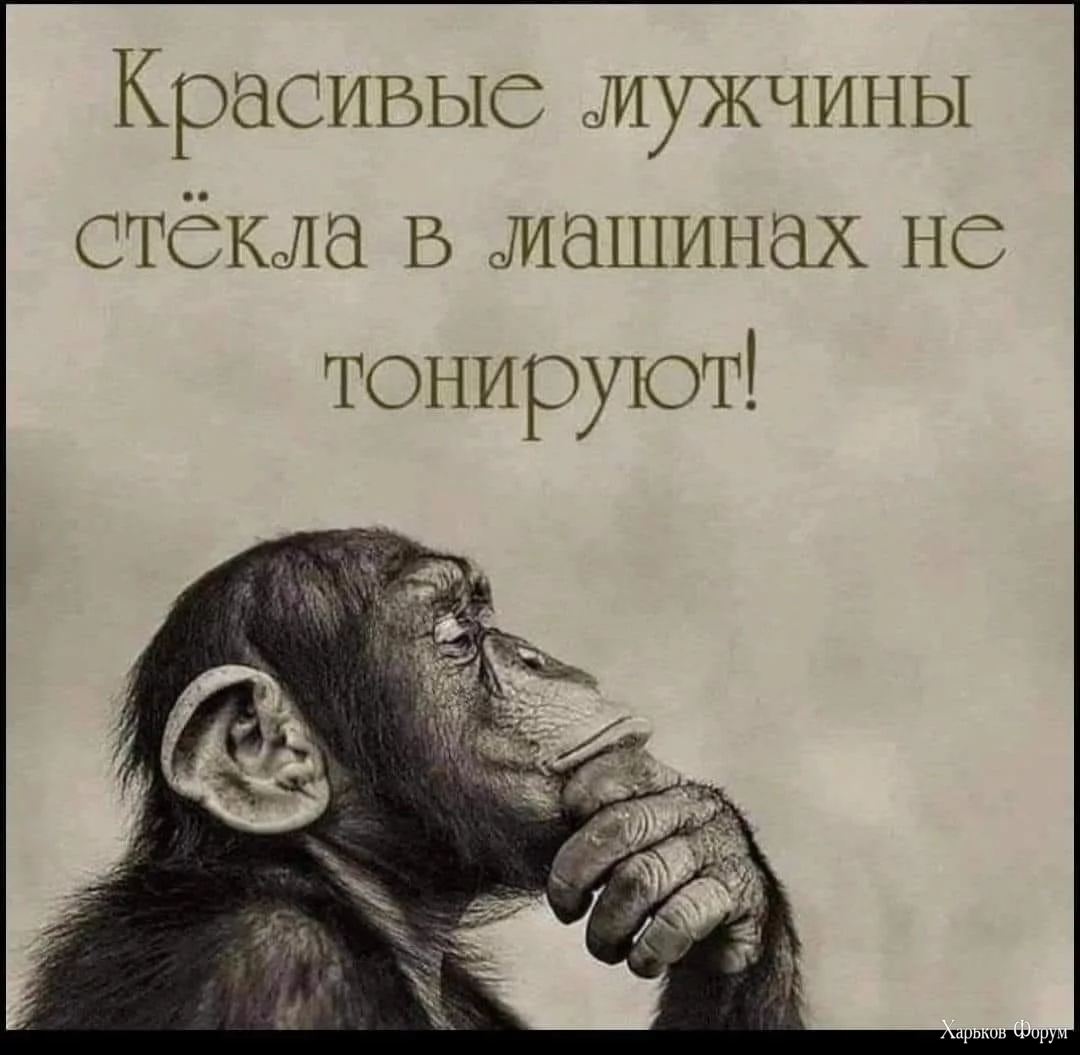 421719122_689070670060698_8442406981867314713_n.webp
