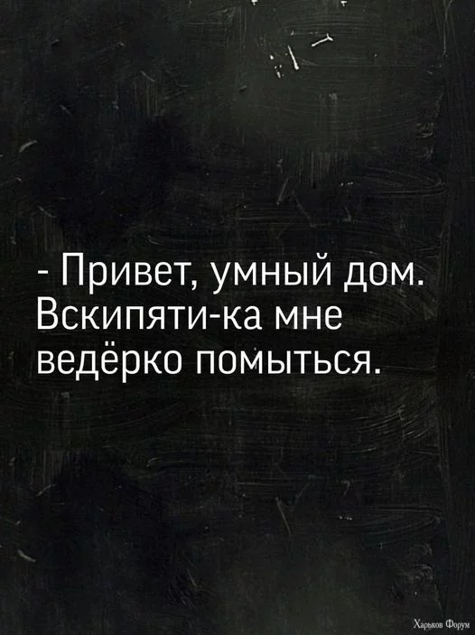 423247591_915245726638026_2186428452246920064_n.webp
