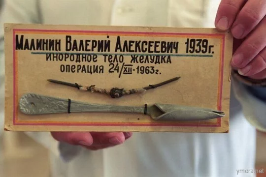 42342323-540x360.webp