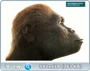 4241716.webp