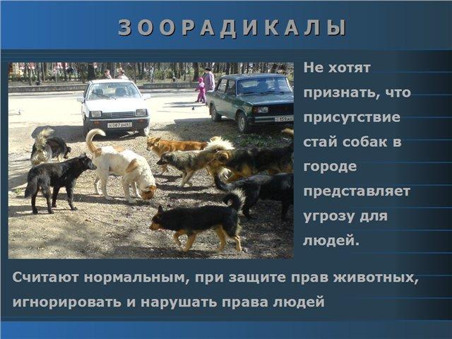 4246b2a8ea4148db877bddff40bdeecb.jpg