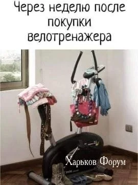 425253f24d7cc83917337f20.webp