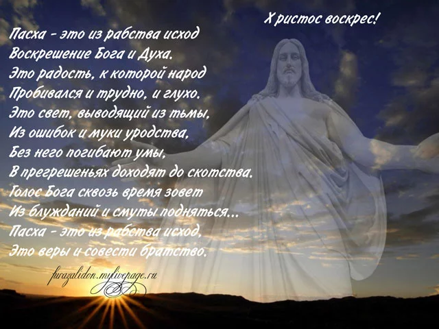42635875_42.webp
