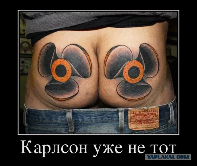 4264883.webp