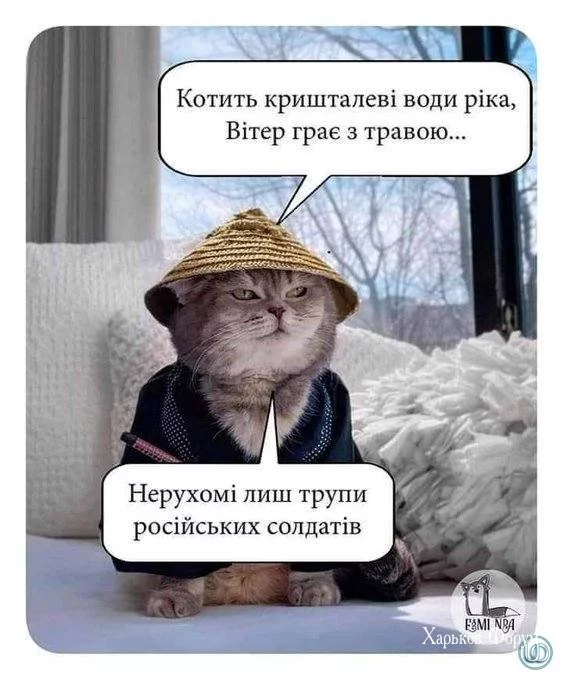 42680cdbab750e7d0.webp
