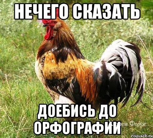 4269b5d1c4e6e35d6.webp