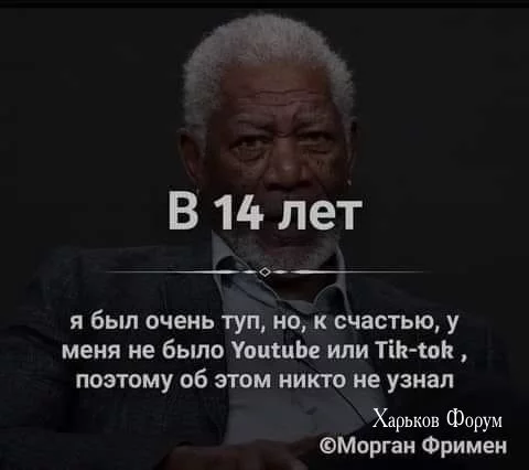 4269c381fe8b533a8548b.webp