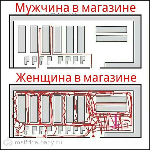 427378.298276971.jpg