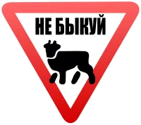 427550byk.webp