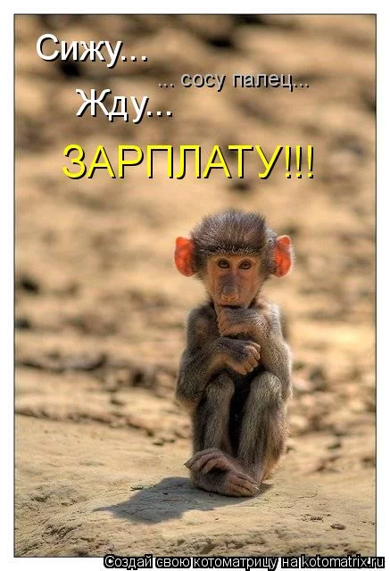 42935805_1240495192_zhduzp.webp