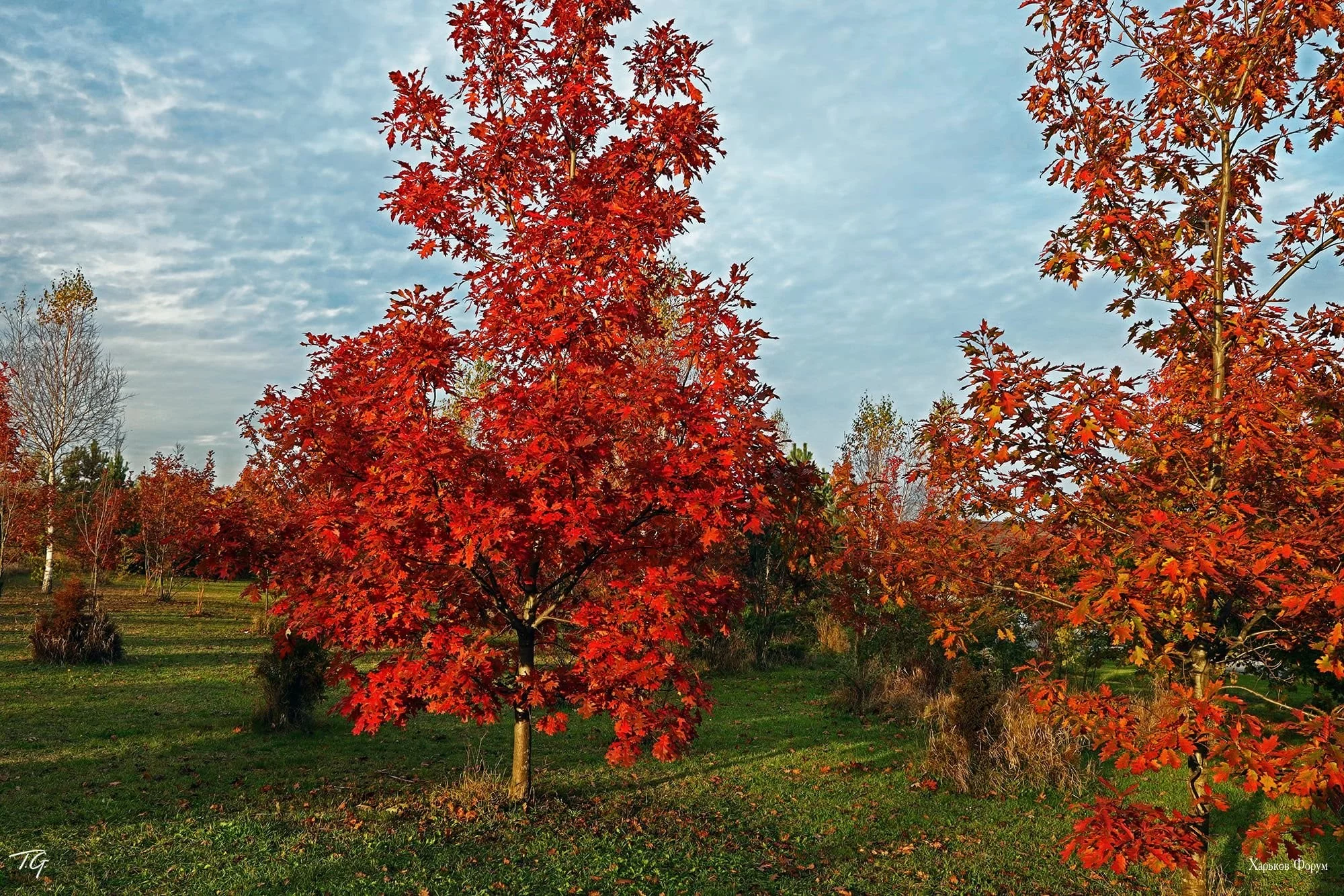 42b1e92c5250dbf172.webp