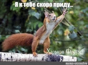 42b353a0738fa3944.webp