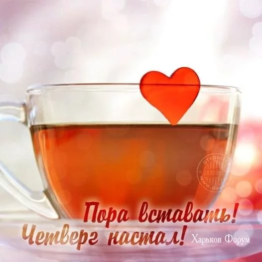 42d7c2d2c37be9eb.webp
