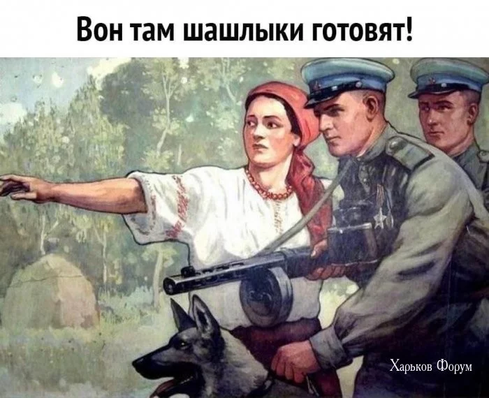 42f0c6f90f8f315fbb4bb1.webp