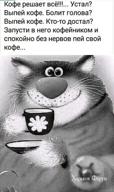 42f5e0839896b6f1.webp