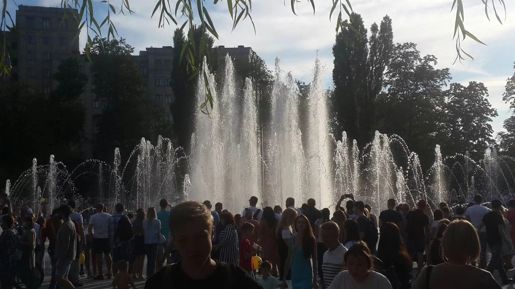 43.webp
