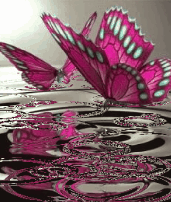 43043263_anim_babochki.gif