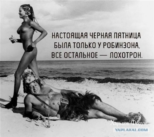 430484f952911c896b0f7b.jpg