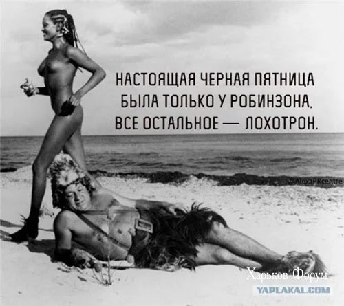 430484f952911c896b0f7b.webp