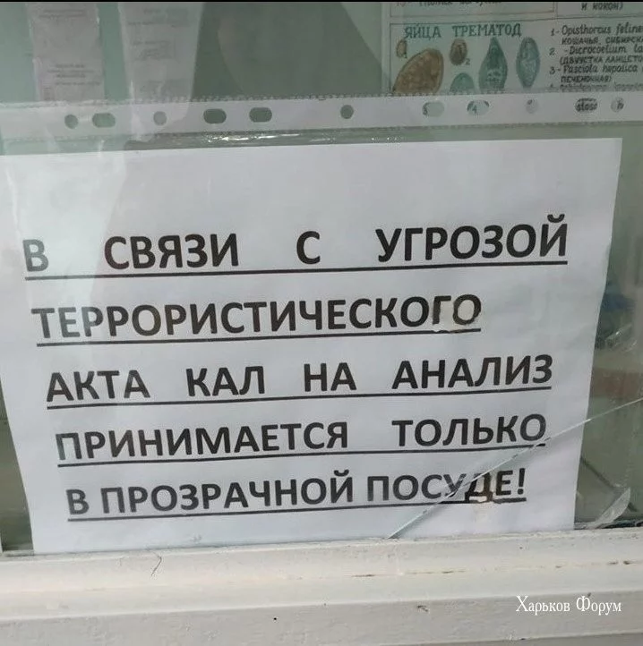430557cead05cfc3.webp