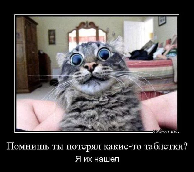 4307449_m.webp