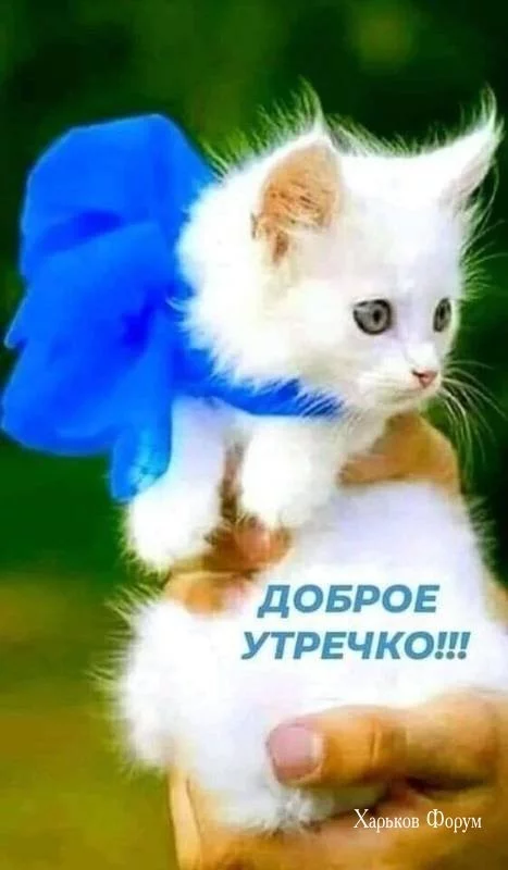 430d014c9923e2e7.webp