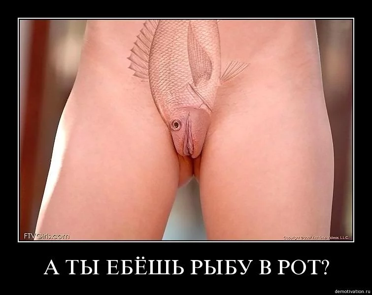 431826365db33362ba26bfebc5599eb6.webp