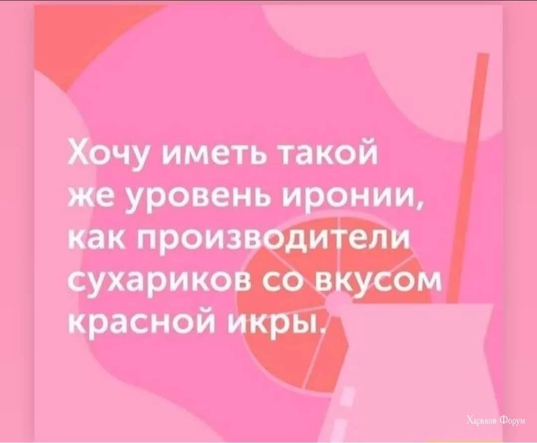 431df7691dc6df2b4c.webp